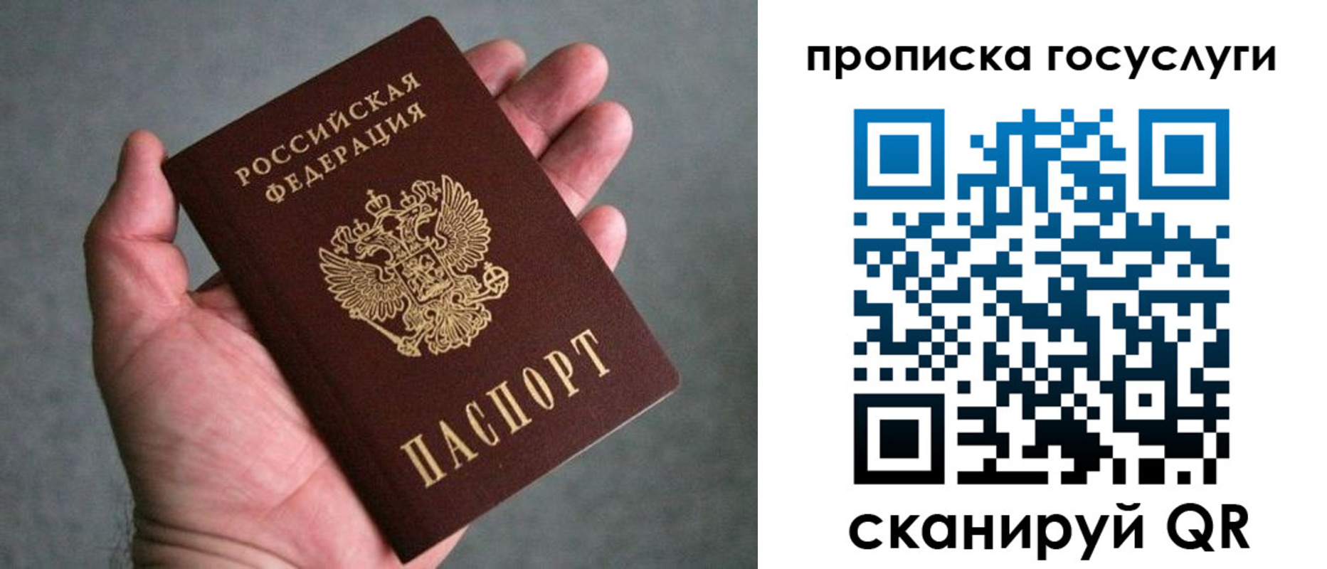 прописка 2025 в Алексеевке